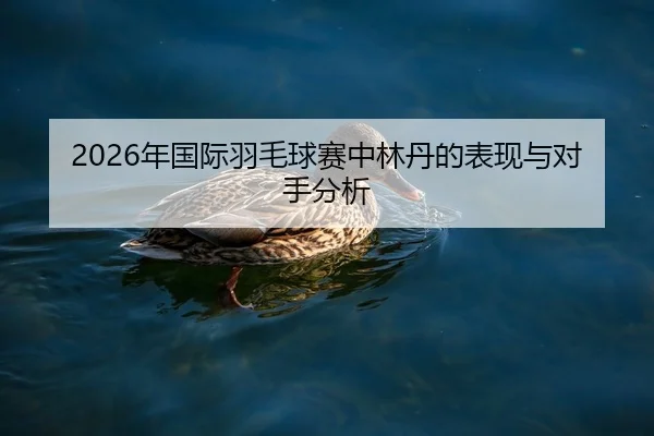 nian-guo-ji-yu-mao-qiu-sai-zhong-lin-dan-de-biao-xian-yu-dui-shou-fen-xi-2-672.jpg